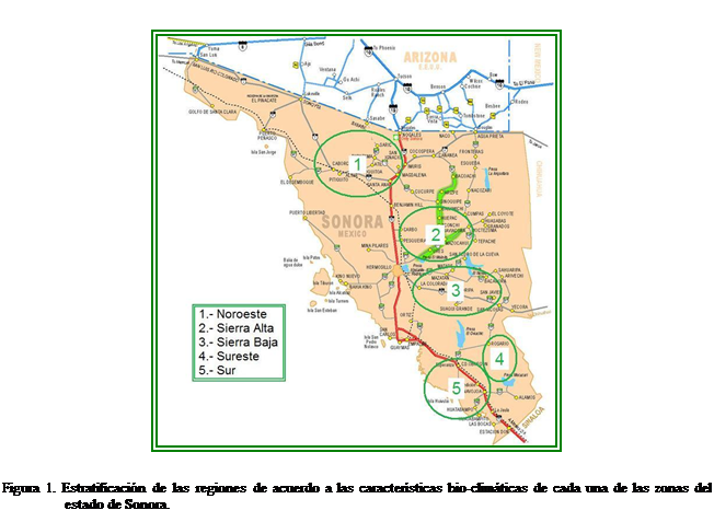 Cuadro de texto:  

Figura 1. Estratificacin de las regiones de acuerdo a las caractersticas bio-climticas de cada una de las zonas del estado de Sonora.	
