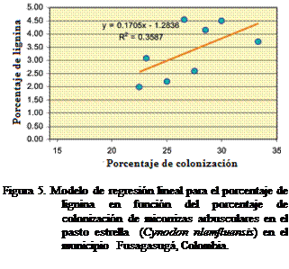 Cuadro de texto:  

Figura 5. Modelo de regresin lineal para el porcentaje de lignina en funcin del porcentaje de colonizacin de micorrizas arbusculares en el pasto estrella  (Cynodon nlemfluensis) en el municipio  Fusagasug, Colombia.
