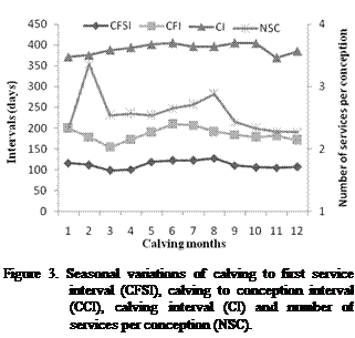 Cuadro de texto:  

Figure 3. Seasonal variations of calving to first service interval (CFSI), calving to conception interval (CCI), calving interval (CI) and number of services per conception (NSC).

