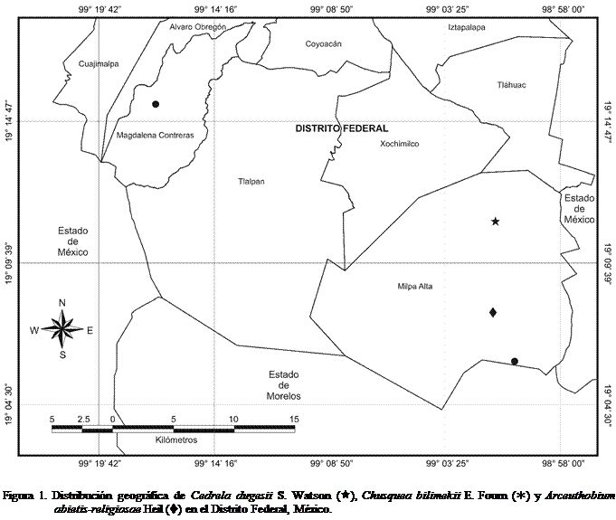 Cuadro de texto:  
Figura 1. Distribucin geogrfica de Cedrela dugesii S. Watson (), Chusquea bilimekii E. Fourn () y Arceuthobium abietis-religiosae Heil (t) en el Distrito Federal, Mxico.

