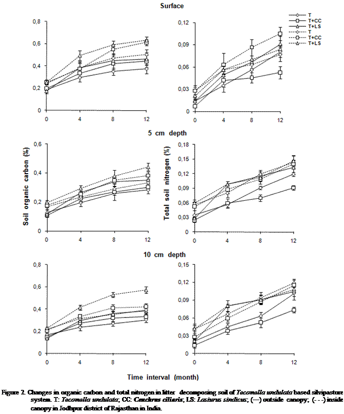 Cuadro de texto:  

Figure 2. Changes in organic carbon and total nitrogen in litter   decomposing soil of Tecomella undulata based silvipasture system. T: Tecomella undulata; CC: Cenchrus ciliaris; LS: Lasiurus sindicus; (―) outside  canopy;  (- - -) inside canopy in Jodhpur district of Rajasthan in India.  
