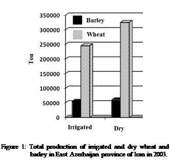 Cuadro de texto:  

Figure 1: Total production of irrigated and dry wheat and barley in East Azerbaijan province of Iran in 2003.                                                                            

