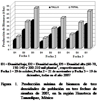 Cuadro de texto:  

D1 = Densidad baja; D2 = Densidad media; D3 = Densidad alta (60-70, 130-140 y 200-210 mil plantas-1, respectivamente).
Fecha 1 = 29 de octubre; Fecha 2 = 21 de noviembre y Fecha 3 = 19 de diciembre, todas en el ao 2007

Figura 1. Produccin mxima de biomasa de tres densidades de poblacin en tres fechas de siembra de 2007, en la regin Huasteca de Tamaulipas, Mxico
