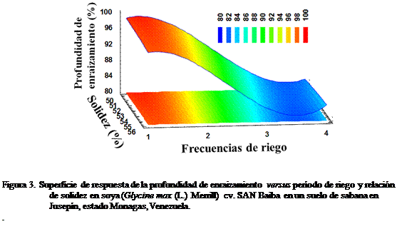Cuadro de texto:  


Figura 3. Superficie de respuesta de la profundidad de enraizamiento versus perodo de riego y relacin de solidez en soya (Glycine max (L.) Merrill) cv. SAN Baiba en un suelo de sabana en Jusepn, estado Monagas, Venezuela.
.

