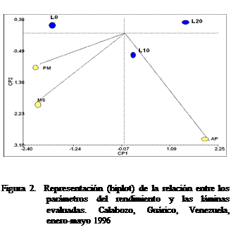 Cuadro de texto:  


Figura 2.  Representacin (biplot) de la relacin entre los parmetros del rendimiento y las lminas evaluadas. Calabozo, Gurico, Venezuela, enero-mayo 1996

