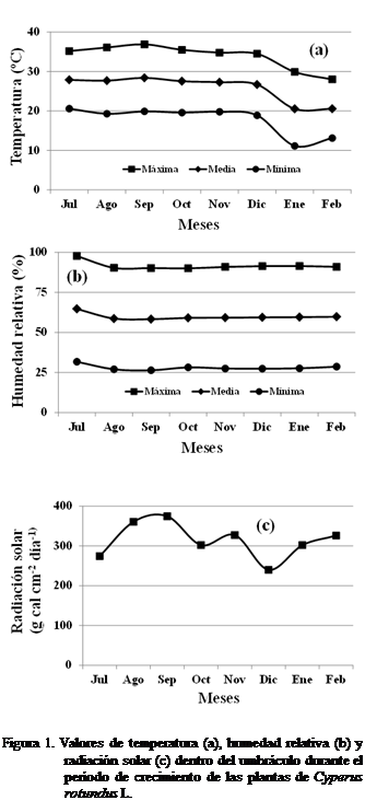 Cuadro de texto:  
 

 

Figura 1. Valores de temperatura (a), humedad relativa (b) y radiacin solar (c) dentro del umbrculo durante el perodo de crecimiento de las plantas de Cyperus rotundus L.





