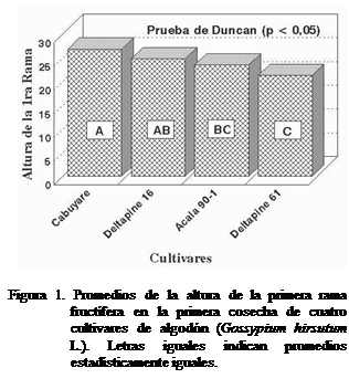 Cuadro de texto:   

Figura 1. Promedios de la altura de la primera rama fructífera en la primera cosecha de cuatro cultivares de algodón (Gossypium hirsutum L.). Letras iguales indican promedios estadísticamente iguales.

 
