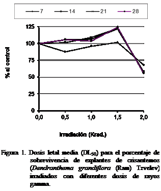 Cuadro de texto:  
Figura 1. Dosis letal media (DL50) para el porcentaje de sobrevivencia de explantes de crisantemos (Dendranthema grandiflora (Ram) Tzvelev) irradiados con diferentes dosis de rayos gamma.


