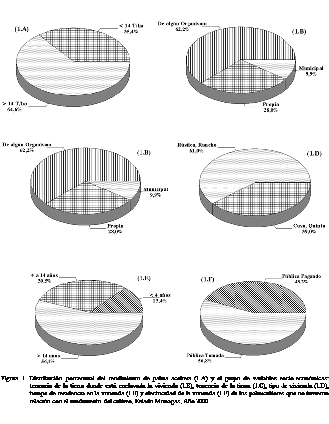 Cuadro de texto:  

        



     




                       

Figura 1. Distribucin porcentual del rendimiento de palma aceitera (1.A) y el grupo de variables socio-econmicas: tenencia de la tierra donde est enclavada la vivienda (1.B), tenencia de la tierra (1.C), tipo de vivienda (1.D), tiempo de residencia en la vivienda (1.E) y electricidad de la vivienda (1.F) de los palmicultores que no tuvieron relacin con el rendimiento del cultivo, Estado Monagas, Ao 2000.


