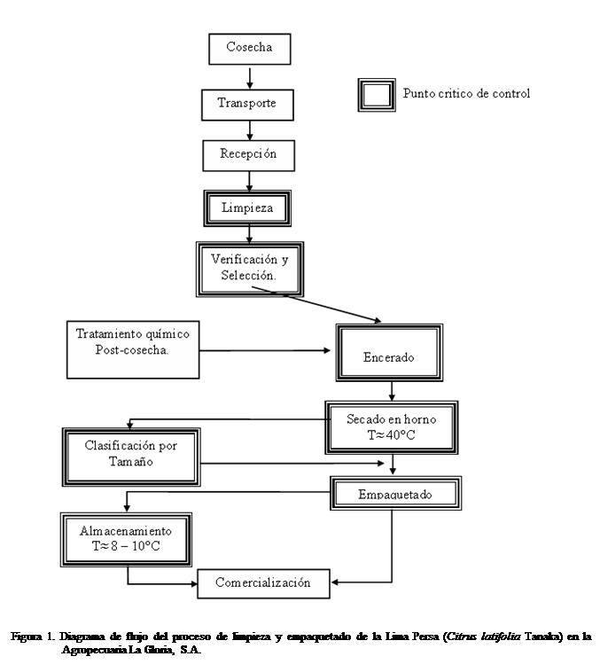 Cuadro de texto:  


Figura 1. Diagrama de flujo del proceso de limpieza y empaquetado de la Lima Persa (Citrus latifolia Tanaka) en la Agropecuaria La Gloria, S.A.

