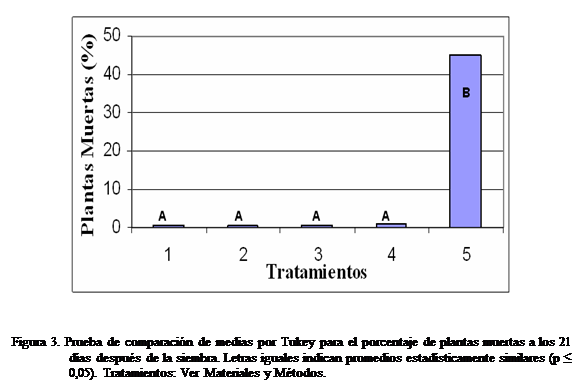 Cuadro de texto:  


Figura 3. Prueba de comparacin de medias por Tukey para el porcentaje de plantas muertas a los 21 das despus de la siembra. Letras iguales indican promedios estadsticamente similares (p ≤ 0,05). Tratamientos: Ver Materiales y Mtodos.

