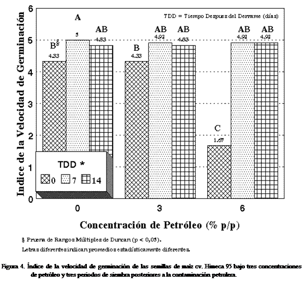 Cuadro de texto:  

Figura 4. ndice de la velocidad de germinacin de las semillas de maz cv. Himeca 95 bajo tres concentraciones de petrleo y tres periodos de siembra posteriores a la contaminacin petrolera.
