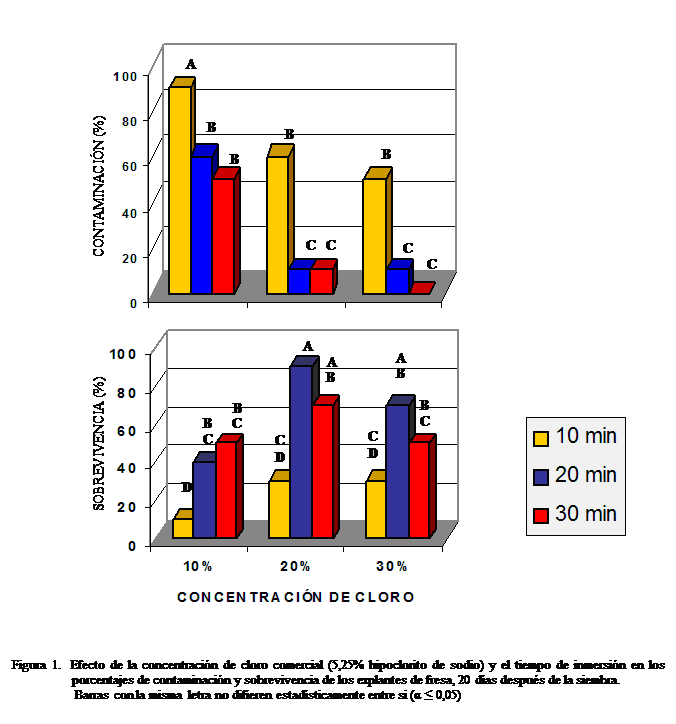Cuadro de texto:  
Figura 1.  Efecto de la concentracin de cloro comercial (5,25% hipoclorito de sodio) y el tiempo de inmersin en los porcentajes de contaminacin y sobrevivencia de los explantes de fresa, 20 das despus de la siembra.
                   Barras con la misma letra no difieren estadsticamente entre si (α ≤ 0,05)

