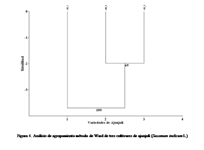 Cuadro de texto:  

Figura 4. Anlisis de agrupamiento mtodo de Ward de tres cultivares de ajonjol (Sesamum indicum L.)

