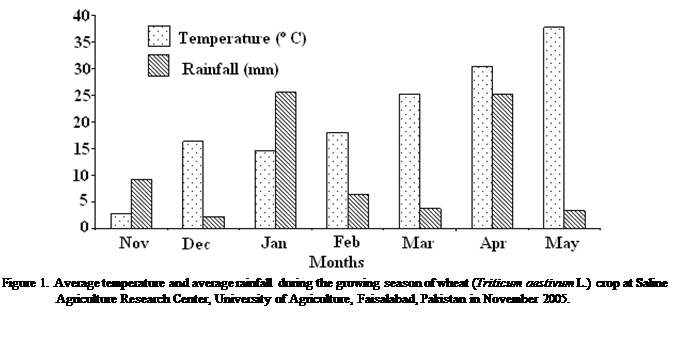 Cuadro de texto:  
Figure 1. Average temperature and average rainfall during the growing season of wheat (Triticum aestivum L.) crop at Saline Agriculture Research Center, University of Agriculture, Faisalabad, Pakistan in November 2005. 



