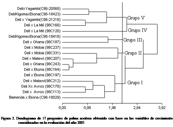 Cuadro de texto:  

Figura 2. Dendograma de 17 progenies de palma aceitera obtenido con base en las variables de crecimiento consideradas en la evaluacin del ao 2005





