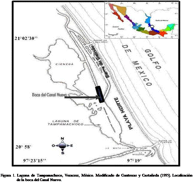 Cuadro de texto:  

Figura 1. Laguna de Tampamachoco, Veracruz, Mxico. Modificado de Contreras y Castaeda (1995). Localizacin de la boca del Canal Nuevo.

