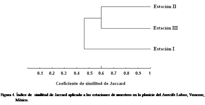 Cuadro de texto:  
Figura 4. ndice de  similitud de Jaccard aplicado a las estaciones de muestreo en la planicie del Arrecife Lobos, Veracruz, Mxico.
