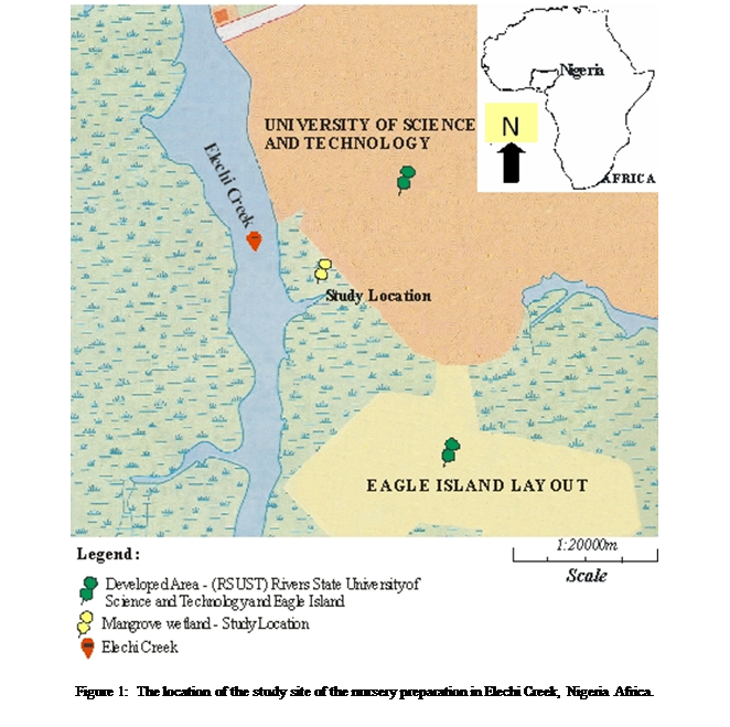 Cuadro de texto:  

Figure 1:  The location of the study site of the nursery preparation in Elechi Creek, Nigeria Africa.
