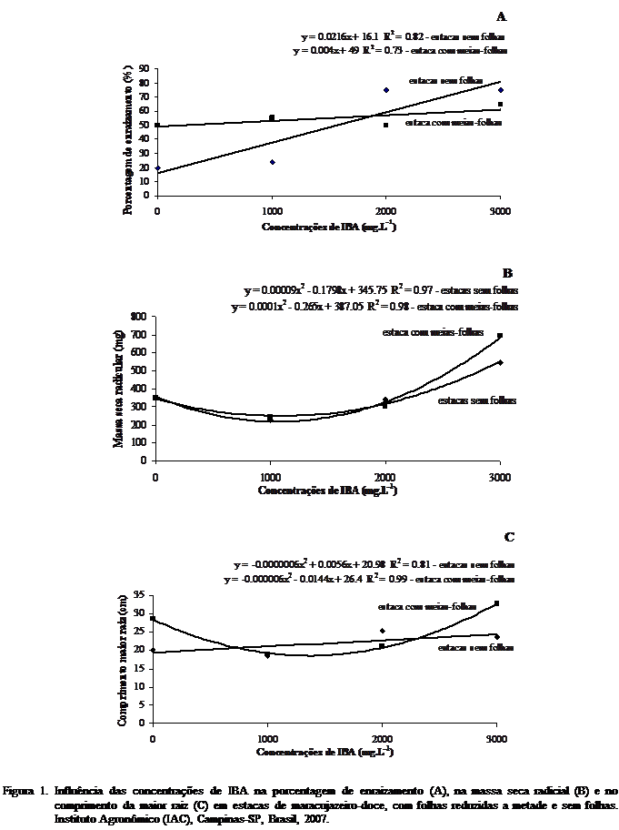 Cuadro de texto:  
 
 
Figura 1. Influncia das concentraes de IBA na porcentagem de enraizamento (A), na massa seca radicial (B) e no comprimento da maior raiz (C) em estacas de maracujazeiro-doce, com folhas reduzidas a metade e sem folhas. Instituto Agronmico (IAC), Campinas-SP, Brasil, 2007.

