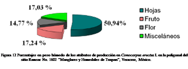 Cuadro de texto:  

Figura 12 Porcentajes en peso hmedo de los atributos de produccin en Conocarpus erectus L en la poligonal del sitio Ramsar No. 1602 Manglares y Humedales de Tuxpan, Veracruz, Mxico.

