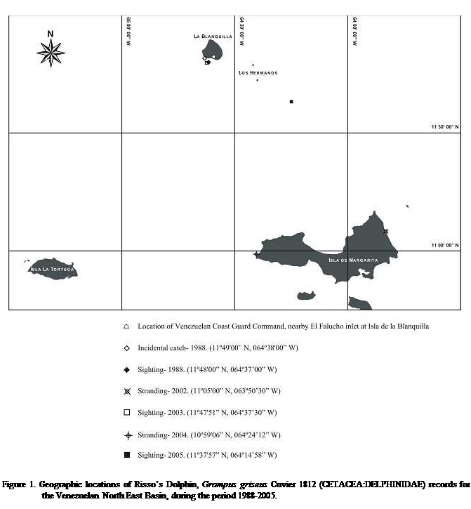 Cuadro de texto:  

Figure 1. Geographic locations of Rissos Dolphin, Grampus griseus Cuvier 1812 (CETACEA:DELPHINIDAE) records for the Venezuelan North East Basin, during the period 1988-2005.
