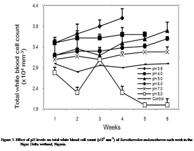 Cuadro de texto:  

Figure 3. Effect of pH levels on total white blood cell count (x104 mm-3) of Sarotherodon melanotheron each week in the Niger Delta wetland, Nigeria.


