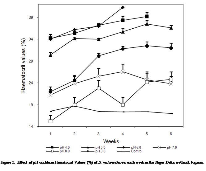 Cuadro de texto:  
Figure 5.  Effect of pH on Mean Hematocrit Values (%) of S. melanotheron each week in the Niger Delta wetland, Nigeria.


