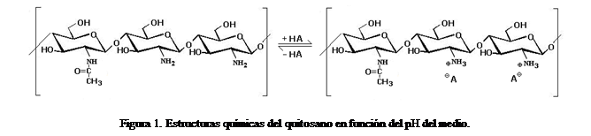 Cuadro de texto:  

Figura 1. Estructuras qumicas del quitosano en funcin del pH del medio.

