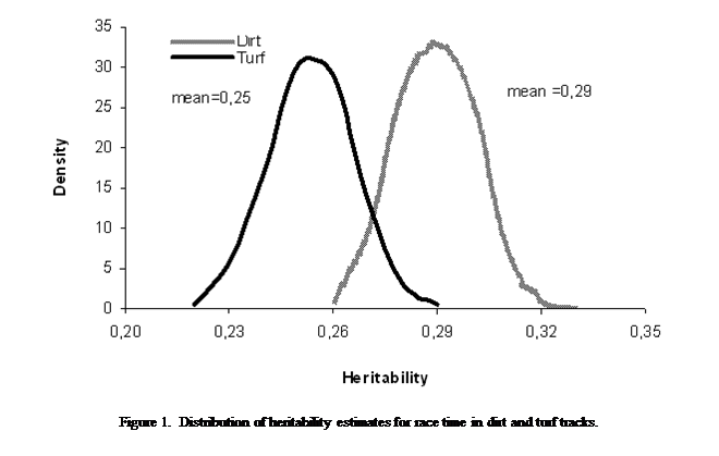 Cuadro de texto:  
Figure 1.  Distribution of heritability estimates for race time in dirt and turf tracks.


