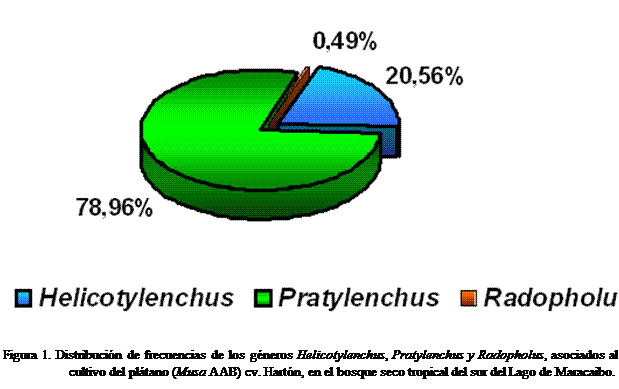 Cuadro de texto:  

Figura 1. Distribución de frecuencias de los géneros Helicotylenchus, Pratylenchus y Radopholus, asociados al cultivo del plátano (Musa AAB) cv. Hartón, en el bosque seco tropical del sur del Lago de Maracaibo.
