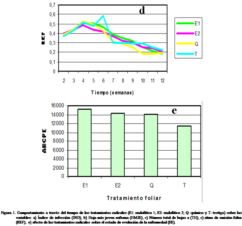 Cuadro de texto:  

 

Figura 1. Comportamiento a travs del tiempo de los tratamientos radicales (E1: endoftico 1; E2: endoftico 2; Q: qumico y T: testigo) sobre las variables: a) ndice de infeccin (IND); b) Hoja ms joven enferma (HMJE); c) Nmero total de hojas a (TH); c) ritmo de emisin foliar (REF); e) efecto de los tratamientos radicales sobre el estado de evolucin de la enfermedad (EE).

