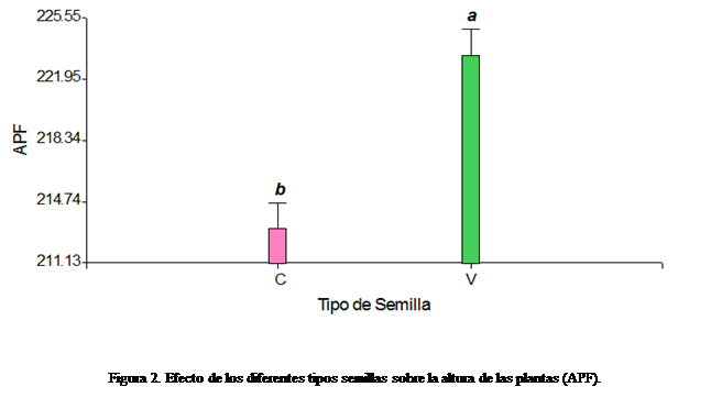 Cuadro de texto:  



Figura 2. Efecto de los diferentes tipos semillas sobre la altura de las plantas (APF).


