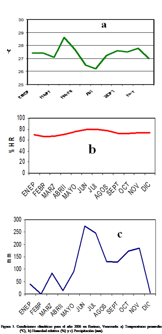 Cuadro de texto:  


 


 

Figura 3. Condiciones climticas para el ao 2006 en Barinas, Venezuela: a) Temperaturas promedio (C), b) Humedad relativa (%) y c) Precipitacin (mm).

