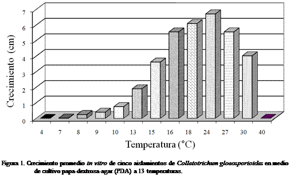 Cuadro de texto:  

Figura 1. Crecimiento promedio in vitro de cinco aislamientos de Colletotrichum gloeosporioides en medio de cultivo papa-dextrosa-agar (PDA) a 13 temperaturas. 

