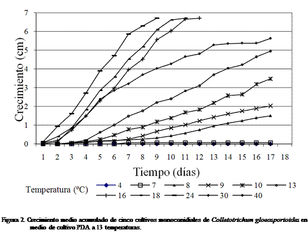 Cuadro de texto:  


Figura 2. Crecimiento medio acumulado de cinco cultivos monoconidiales de Colletotrichum gloeosporioides en medio de cultivo PDA a 13 temperaturas. 

