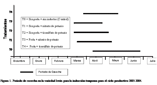Cuadro de texto:  

Figura 1. Periodo de cosecha en la variedad Irwin para la induccin temprana para el ciclo productivo 2003-2004.


