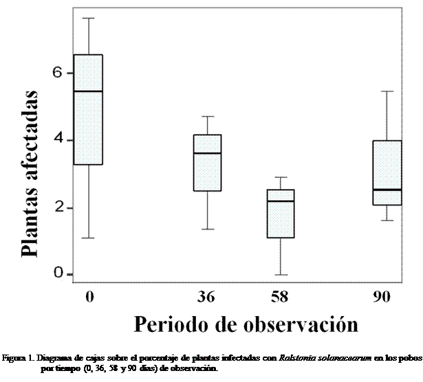 Cuadro de texto:  

Figura 1. Diagrama de cajas sobre el porcentaje de plantas infectadas con Ralstonia solanacearum en los pobos por tiempo (0, 36, 58 y 90 das) de observacin.

