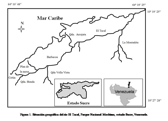 Cuadro de texto:  

Figura 1. Situacin geogrfica del ro El Tacal, Parque Nacional Mochima, estado Sucre, Venezuela.

