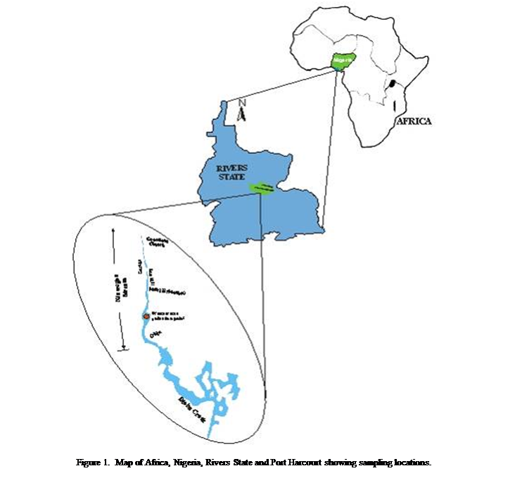 Cuadro de texto:  

Figure 1.  Map of Africa, Nigeria, Rivers State and Port Harcourt showing sampling locations.

