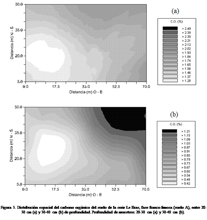 Cuadro de texto:  

 

Figura 3. Distribucin espacial del carbono orgnico del suelo de la serie Le Bras, fase franco-limosa (suelo A), entre 20-30 cm (a) y 30-40 cm (b) de profundidad. Profundidad de muestreo: 20-30 cm (a) y 30-40 cm (b).

