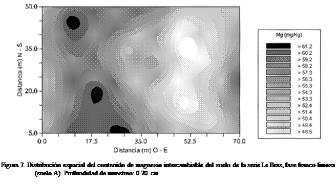 Cuadro de texto:  
Figura 7. Distribucin espacial del contenido de magnesio intercambiable del suelo de la serie Le Bras, fase franco-limosa (suelo A). Profundidad de muestreo: 0-20 cm.
