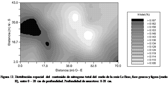 Cuadro de texto:  
Figura 12. Distribucin espacial  del  contenido de nitrogeno total del  suelo de la serie Le Bras, fase gruesa y ligera (suelo B), entre 0  20 cm de profundidad. Profundidad de muestreo: 0-20 cm.
