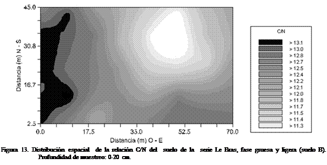Cuadro de texto:  
Figura 13. Distribucin espacial  de la relacin C/N del  suelo de la  serie Le Bras, fase gruesa y ligera (suelo B). Profundidad de muestreo: 0-20 cm.
