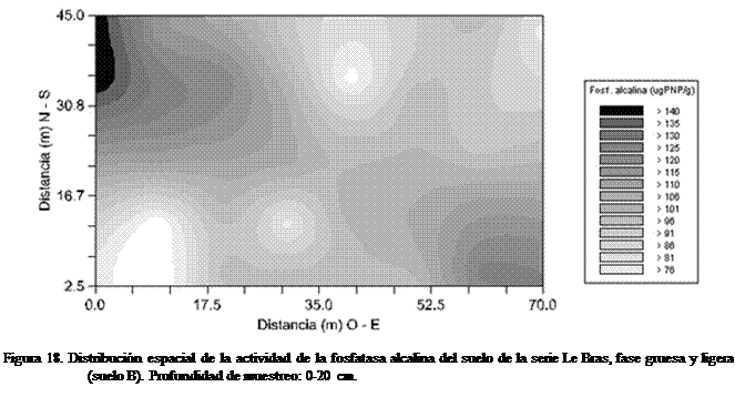 Cuadro de texto:  
Figura 18. Distribucin espacial de la actividad de la fosfatasa alcalina del suelo de la serie Le Bras, fase gruesa y ligera (suelo B). Profundidad de muestreo: 0-20 cm.
