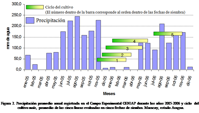 Cuadro de texto:  

Figura 2. Precipitacin promedio anual registrada en el Campo Experimental CENIAP durante los aos 2005-2006 y ciclo  del cultivo maz, promedio de las cinco lneas evaluadas en cinco fechas de siembra. Maracay, estado Aragua.
